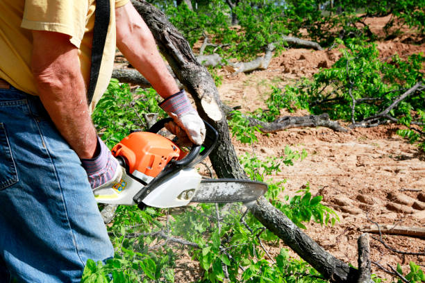 Best Tree Pruning Services  in Weatherford, OK